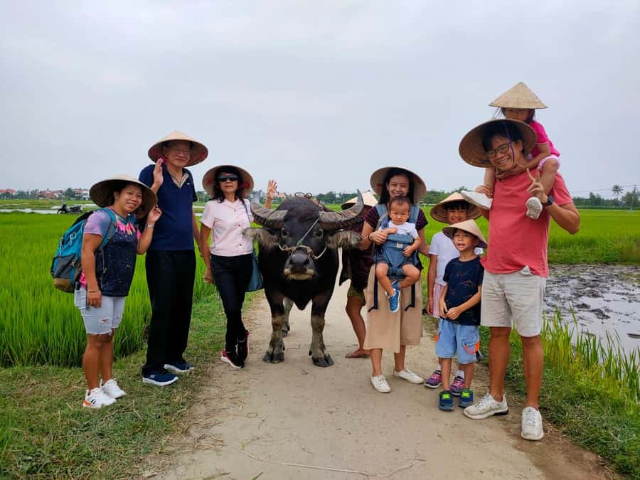 Cycling, Water Buffalo Riding, Traditional Farming Life - Price and Duration: Does $30 Buy Real Value?