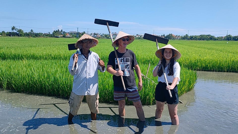 Cycling, Water Buffalo Riding, Traditional Farming Life - Tour Timing: Morning Calm vs Afternoon Storytelling