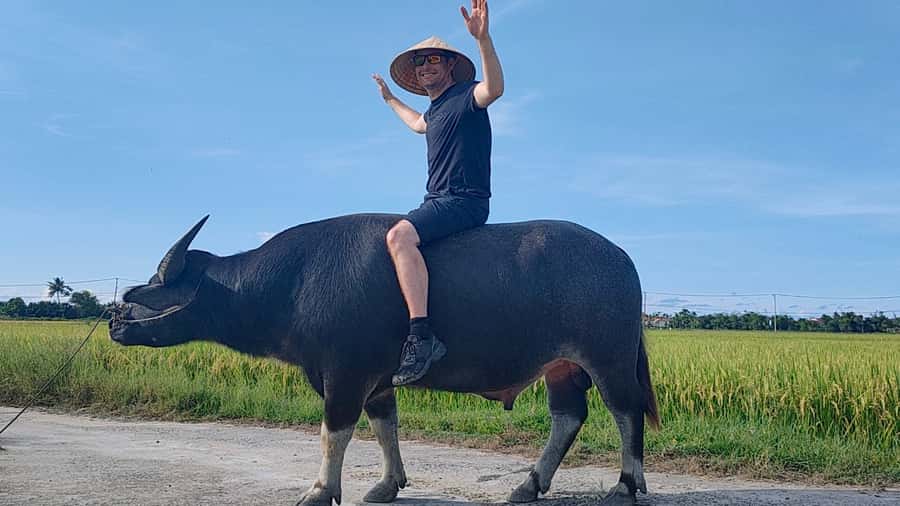 Cycling, Water Buffalo Riding, Traditional Farming Life - Cycling to Cam Thanh: Narrow Roads, Quick Perspective Shifts