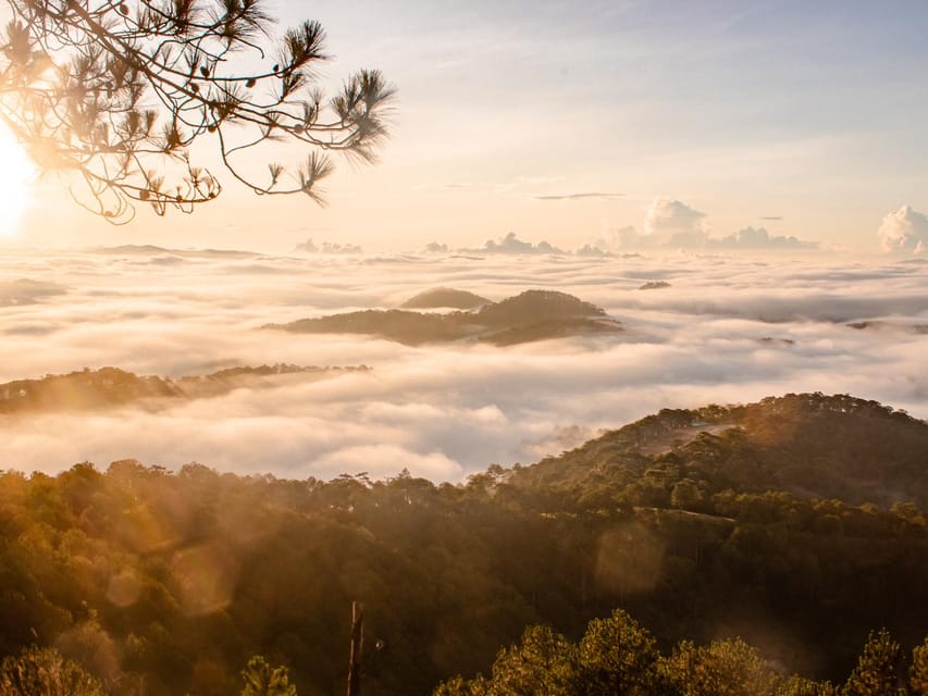 Da Lat: Chasing the Sunrise - A Mini Trek Adventure - Scooter transfer to the pine-forest hill (and why transport affects your comfort)