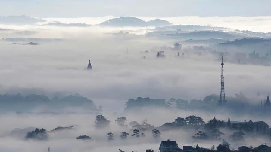 Da Lat: Cloud Hunting and Nature Morning Tour - Key Points You’ll Care About