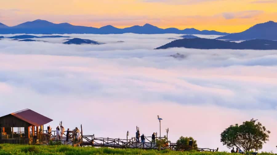 Da Lat: Cloud Hunting and Nature Morning Tour - Da Lat’s 4:00 AM Start: Why This Tour Works