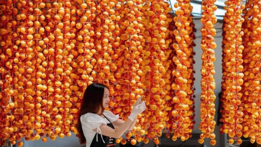 Da Lat: Cloud Hunting and Nature Morning Tour - Dried Persimmon Garden and Strawberry Time: Local Food Without the Lecture