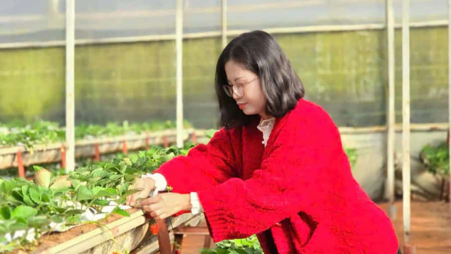 Da Lat: Cloud Hunting and Nature Morning Tour - Price and Value: Is $30 Fair for a Full Morning?