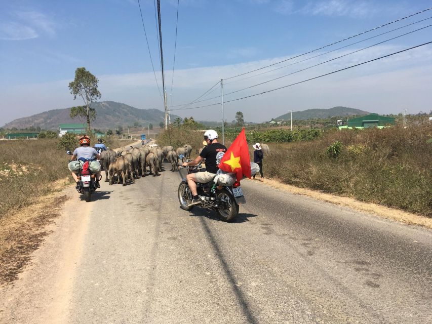 Đà Lạt Countryside Tour: Serene Escapes in the Outskirts - Linh An Pagoda + Elephant Falls: The Climb That Changes the View