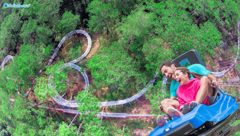 Da Lat: Datanla New Alpine Coaster Experience Entry Ticket - Don’t Miss the 20-Meter Waterfall: Prenn Pass Views at a Slower Pace