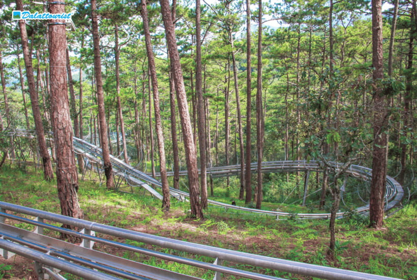 Da Lat: Datanla New Alpine Coaster Experience Entry Ticket - What Your Ticket Includes (And What It Might Not)