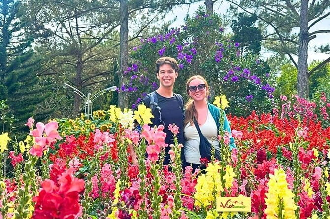 Da Lat: Half-Day Morning - Clay Tunnel, Crazy House, Datanla Fall - Price, added tickets, and value for your money