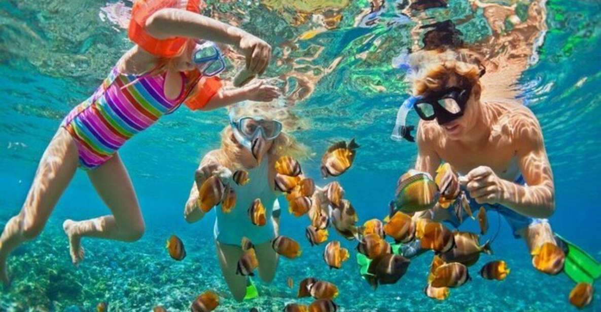 Da Nang: Cham Island Boat Day Trip with Snorkeling and Lunch - Should you book this Cham Island boat day trip?