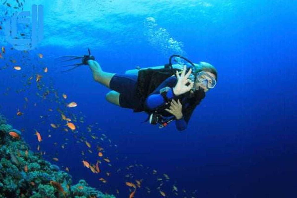Da Nang: Cham Island Boat Day Trip with Snorkeling and Lunch - The speedboat plan: Da Nang to Cu Lao Cham in one day