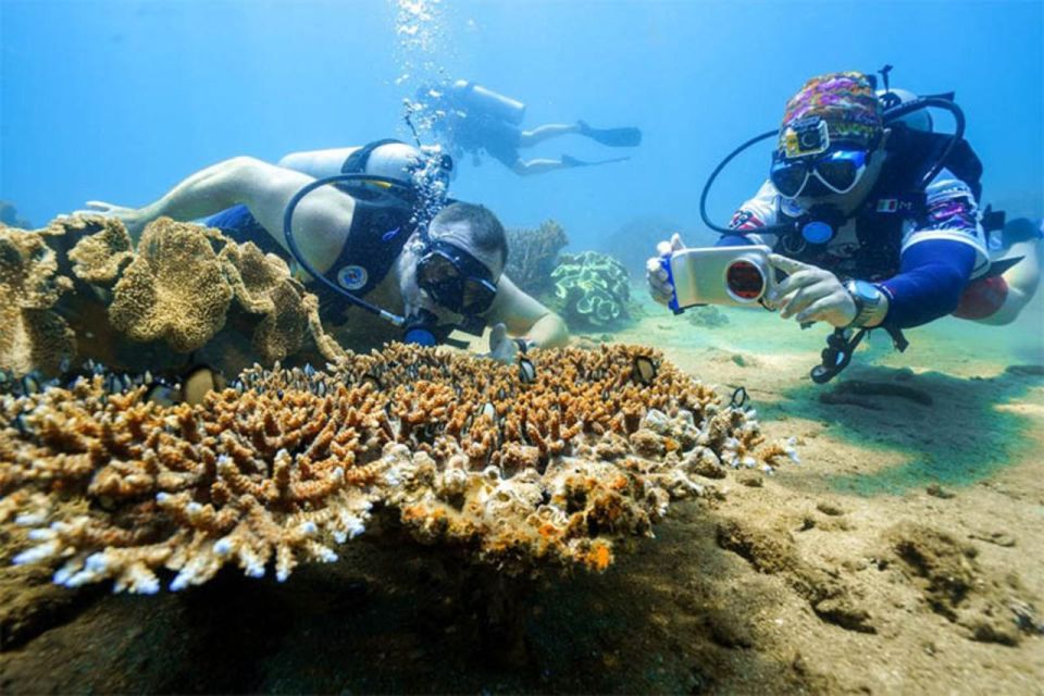 Da Nang: Cham Island Boat Day Trip with Snorkeling and Lunch - Hai Tang pagoda and Tan Hiep seafood market: culture between sea stops
