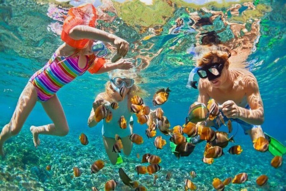 Da Nang: Cham Island Boat Day Trip with Snorkeling and Lunch - Port transfers you’ll actually feel: Cua Dai, Bai Lang, and Sa Huynh