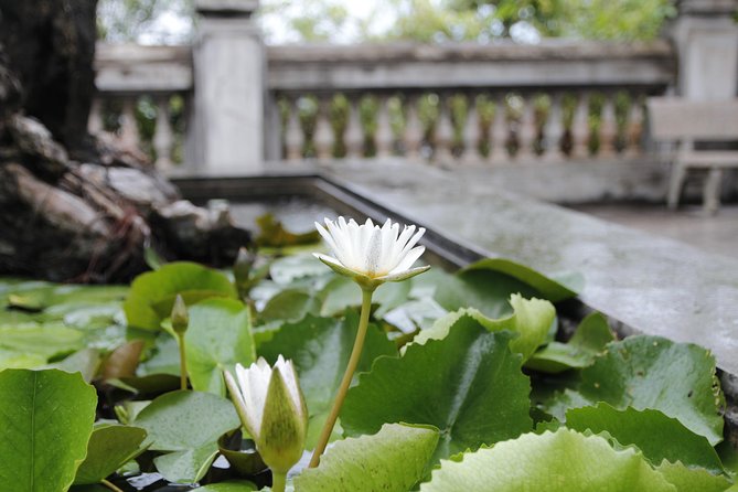 Da Nang Discovery With Cool Locals - What’s included (and what you’ll still pay for)