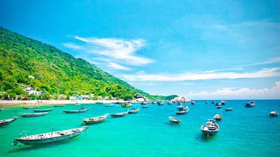 Da Nang/Hoi An:Explore Cham Island and Snorkeling tour 1 Day - Snorkeling at Bãi Xêp or Hòn Tai: what to expect underwater
