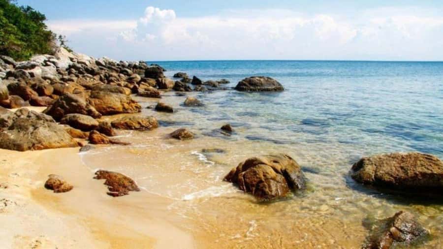 Da Nang/Hoi An:Explore Cham Island and Snorkeling tour 1 Day - Lunch on the island: simple, included, and easier than you think