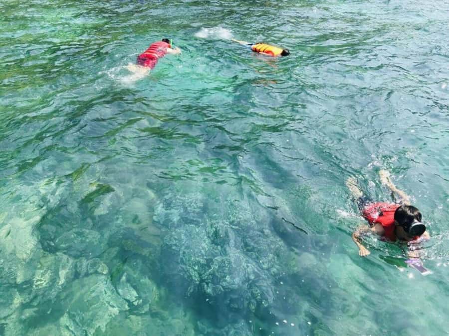 Da Nang/Hoi An:Explore Cham Island and Snorkeling tour 1 Day - Logistics that can make or break your day
