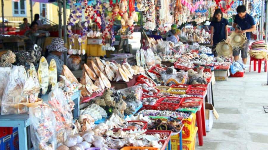 Da Nang/Hoi An:Explore Cham Island and Snorkeling tour 1 Day - Getting there from Da Nang or Hoi An: the real schedule