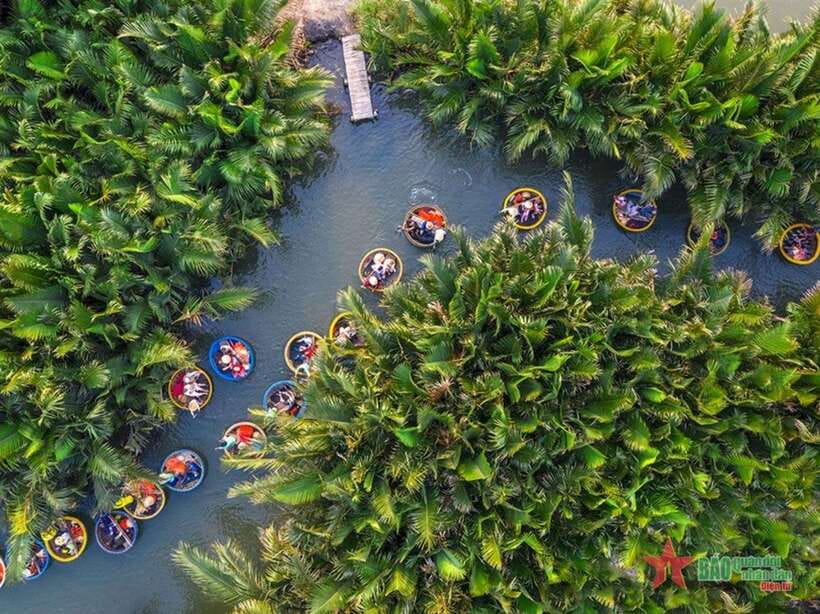 Da Nang: Marble Mountains, Hoi An, and Coconut Forest Tour - Key points at a glance