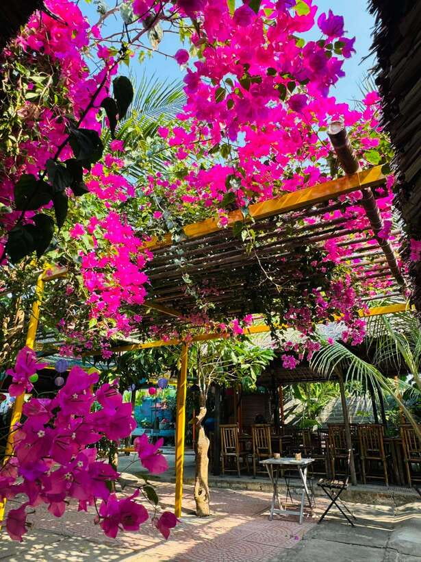 Da Nang: Marble Mountains, Hoi An, and Coconut Forest Tour - From Da Nang to the Marble Mountains: where the day starts