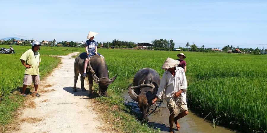 Da Nang or Hoi An: Countryside Bike & Basket Boat Tour - Cam Thanh Eco-Coconut Village: Where the Scenery Gets Practical