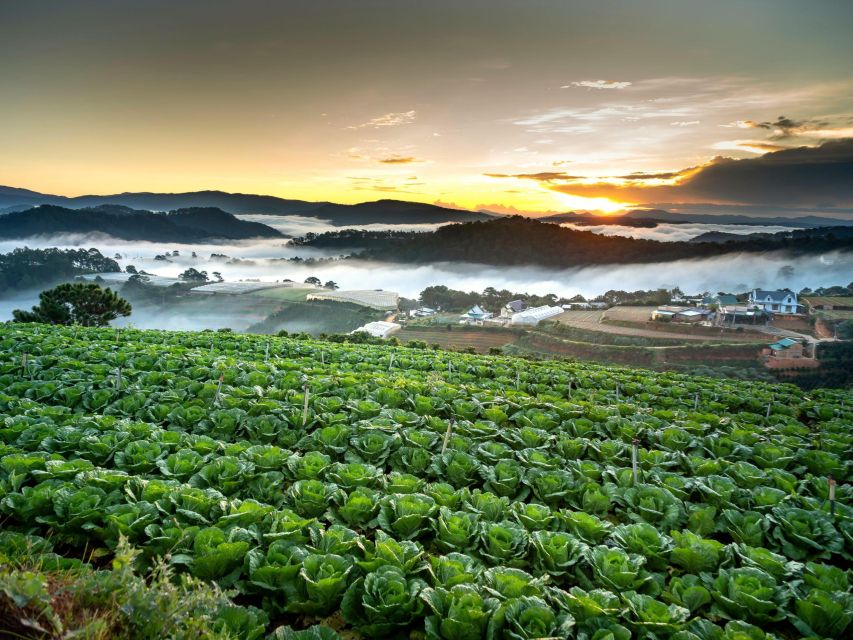 Dalat: Best of the Countryside Tour in a Private Car - Pongour Falls plus Tuyen Lam Lake: the reset after the roar