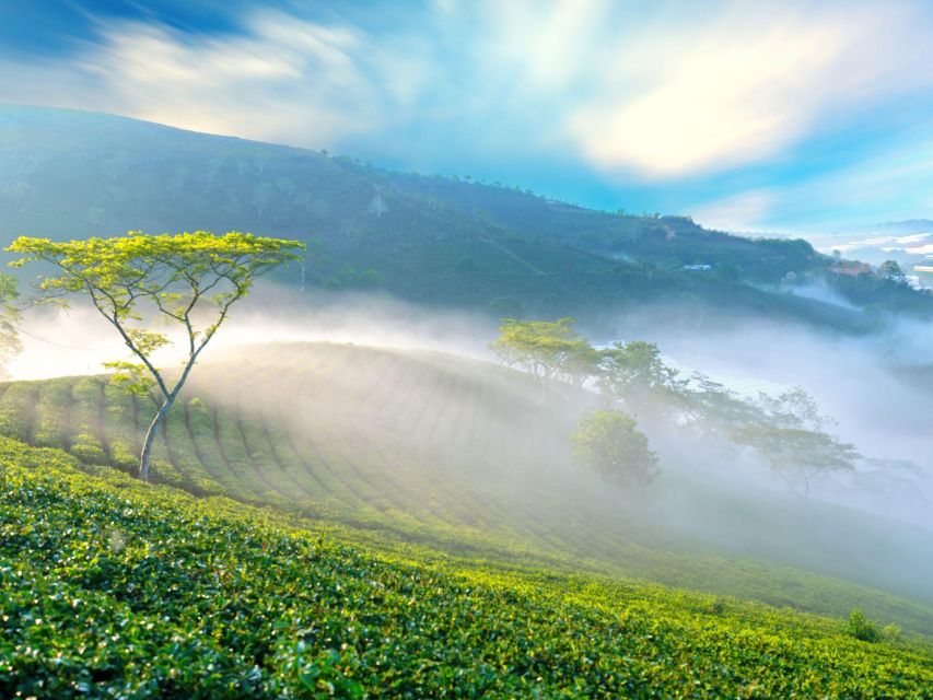 Dalat: Best of the Countryside Tour in a Private Car - The guides make the difference: Na, Son, Huan, and Phan Hoàn