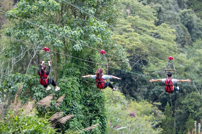 DaLat Canyoning & Experience 1500m Zipline - Why This 1500m Zipline + Canyoning Mix Feels Worth It