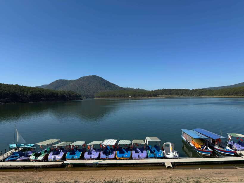 Dalat : City Tour With Local Guide - Trúc Lâm Zen Monastery: A Calm Reset in Nature