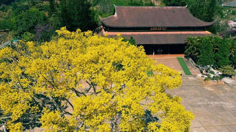 Dalat Countryside & Pongour Waterfall Tours (Small Group) - Van Thanh Flower Village: quick photos, local atmosphere