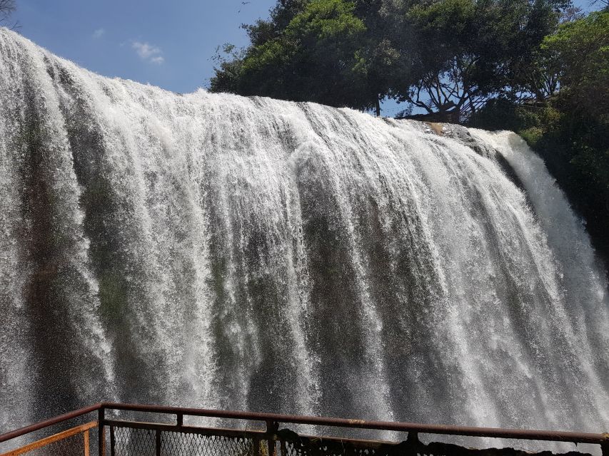 Dalat: Countryside Tour with Silk Village & Elephant Falls - Me Linh Coffee Garden: From Plantation to Roasted Beans (and Real Tasting Notes)