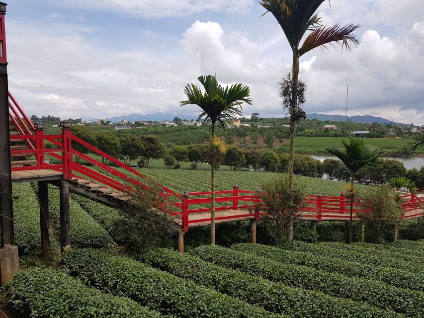 Dalat: Countryside Tour with Silk Village & Elephant Falls - Linh An Pagoda and the 71-Meter Lady Buddha Statue