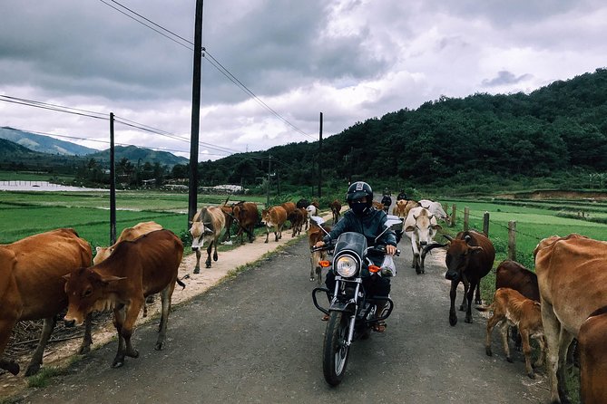 Dalat Go Kart - Mongoland & Dalat Countryside Group Tour - Pickup, guide, and pace: why it feels easier than DIY