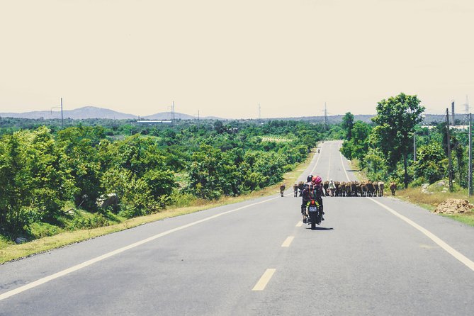 Dalat Go Kart - Mongoland & Dalat Countryside Group Tour - KDL Sinh Thái Cao Nguyên Hoa Đà Lạt: the Mario Kart-style go-kart stop