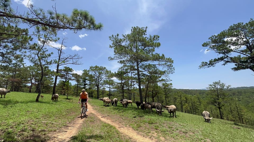 Dalat mountain biking tour - Victory Lake to forest paths: the “wide and calm” start you’ll want to enjoy