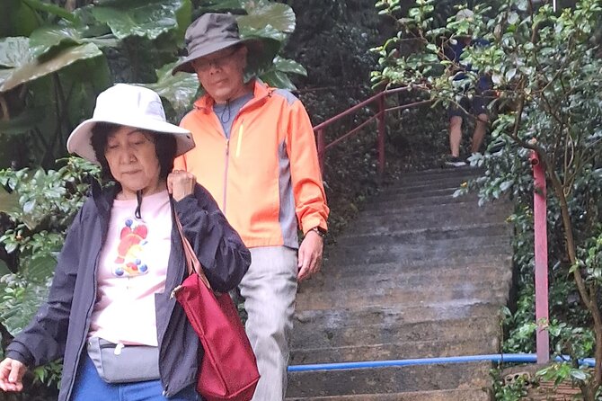 Dalat MuiNe Private tour 1 day, private tour - Pongour Falls and Elephant Waterfall: Water at Two Different Speeds