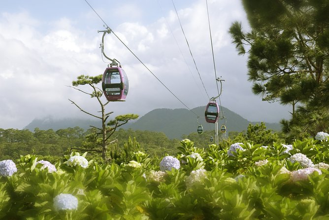 Dalat Private Tour Package in 2 Days - Weather, Timing, and What to Pack (So You Enjoy It, Not Endure It)