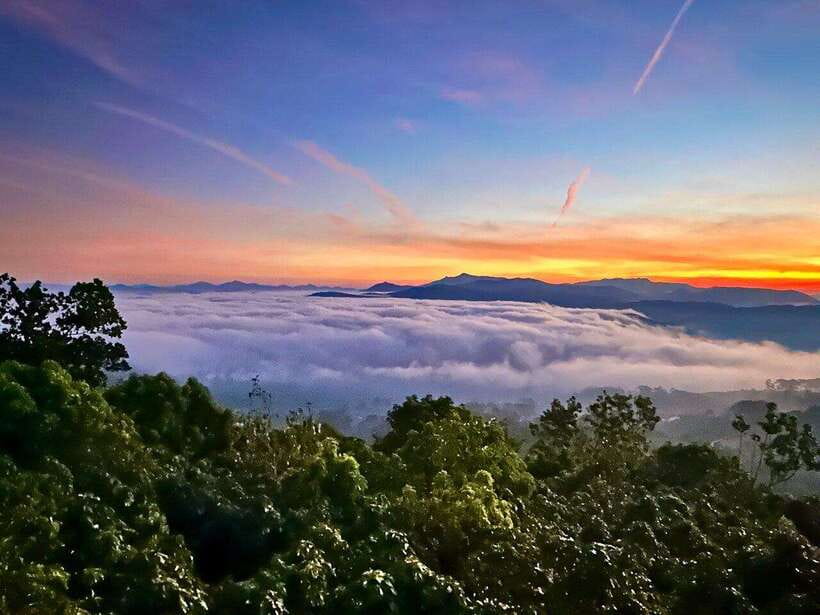 DaLat: Sunrise, Clouds, Peaceful Mornings from 4:00 to 10:00 - Key things to know before you go