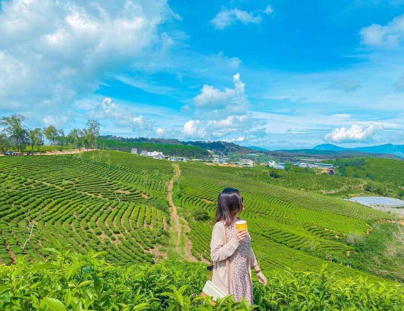DaLat: Sunrise, Clouds, Peaceful Mornings from 4:00 to 10:00 - Who should book this sunrise morning, and who should skip it