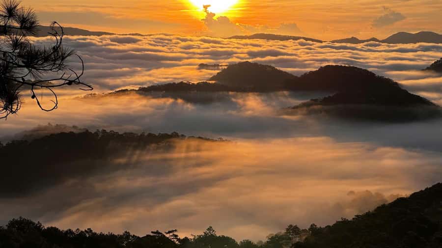 Dalat: Sunrise Trekking and Cloud Hunting experience - Guides and group vibe: why the personalities matter here