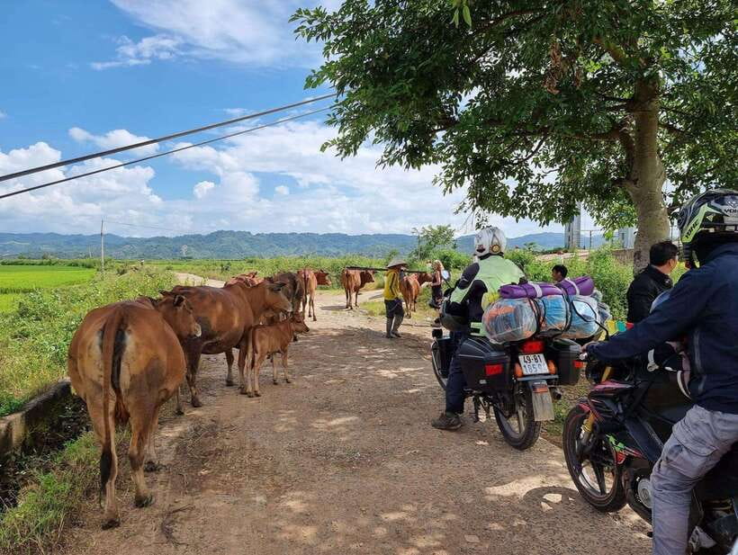 Dalat to Cat Tien National Park & Ho Chi Minh (2 or 3 Days) - Practical tips before you go