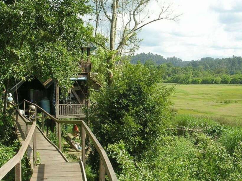 Dalat to Cat Tien National Park & Ho Chi Minh (2 or 3 Days) - Getting to Ho Chi Minh: a clean exit after the jungle