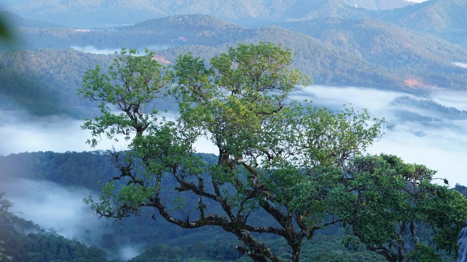Dalat Trekking to Langbiang mt - What to bring (so the muddy parts don’t ruin your day)