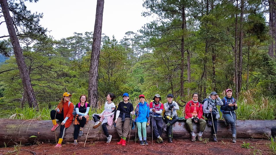 Dalat Trekking to Langbiang mt - Walking through the 3-leaf pine forest (and how the trail “feels”)
