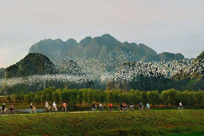 Day Trip in Ninh Binh Tour from Hanoi - Tràng An: UNESCO Boat Caves and Tunnel Feel