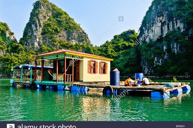 Deluxe Halong Bay 6 Hours Cruise To Visit Surprising Cave And Titop Island - Kayak or bamboo boat: the hands-on part of Halong Bay