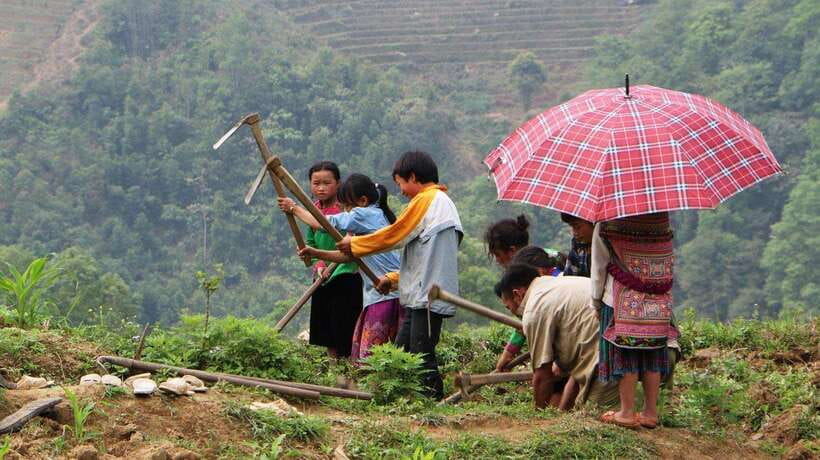 Discover Sapa Trekking with optional Cultural Homestay - Key things I’d focus on before you book