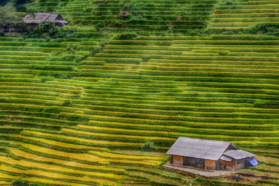 Discover Sapa Trekking with optional Cultural Homestay - Why this Sapa trek feels different from the usual day trip