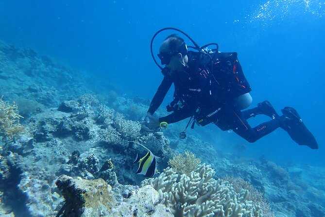 Discover Scuba Diving at Phu Quoc Island - Key Highlights You’ll Care About