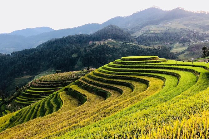 Discover the Beauty of Sa Pa: A One-Day Trek - Stop 2: Lao Chai Village in the Muong Hoa valley (1 hour, ticket free)