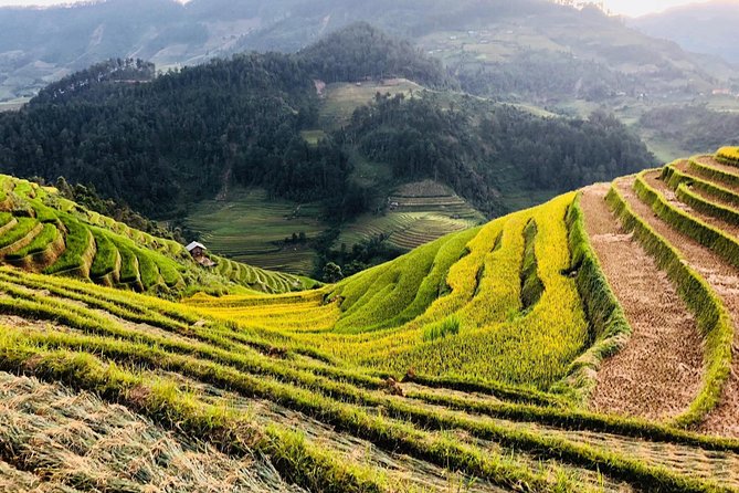 Discover the Beauty of Sa Pa: A One-Day Trek - Stop 3: Ta Van Village community feel (30 minutes, ticket included)